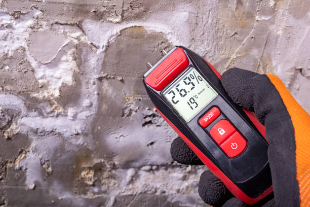 Best Mold Testing  in Herald, CA
