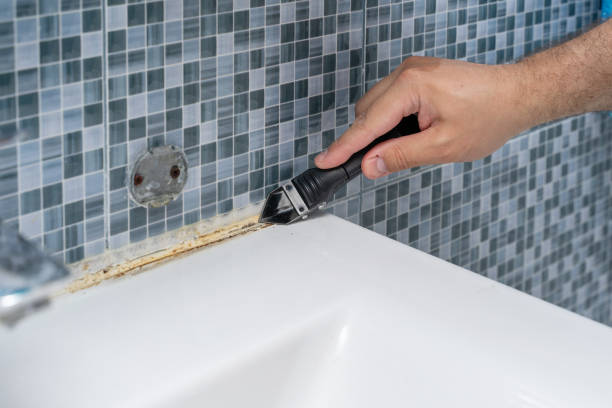 Best Emergency Mold Removal  in Herald, CA