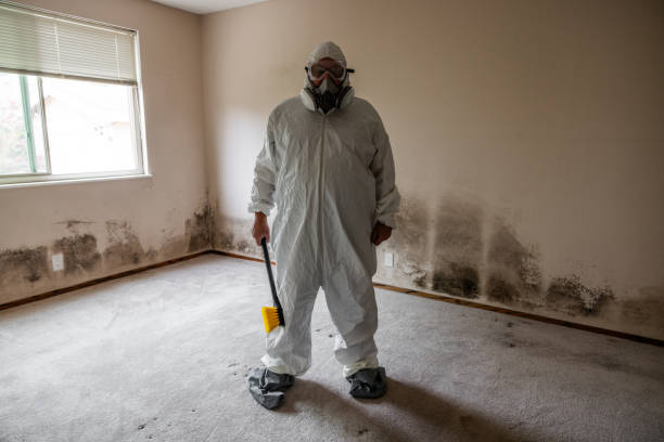 Best Mold Removal Specialists  in Herald, CA