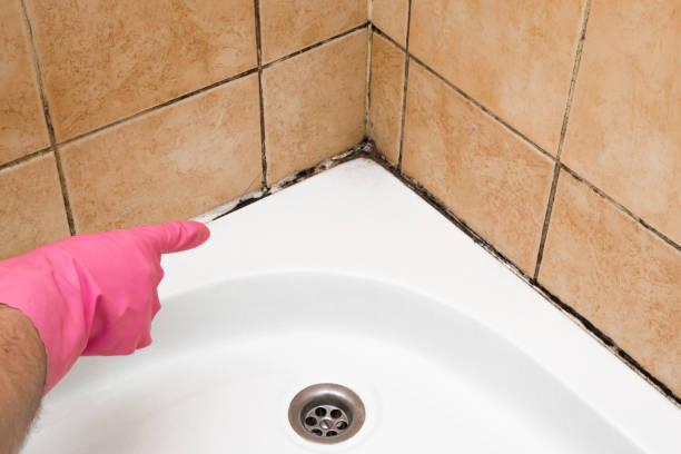 Best Crawl Space Mold Removal  in Herald, CA